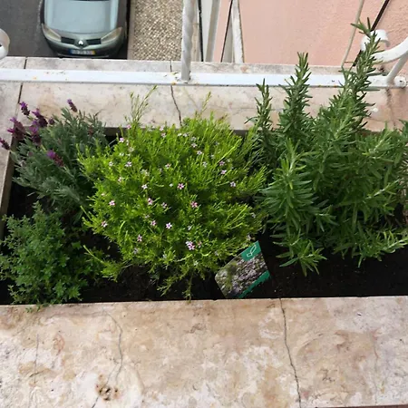 Bento Charming Apartment By Sixtyfive Boutique Home Apartment Lisbon